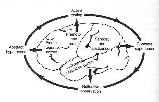 Changing the brain